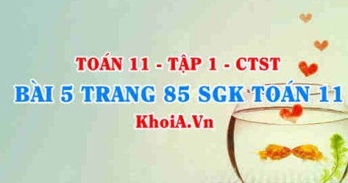 Bài 5 trang 85 SGK Toán 11 Tập 1 Chân trời sáng tạo